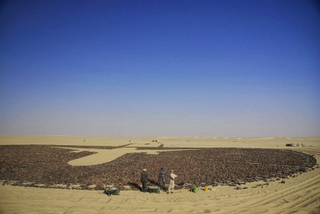 Illustration for article titled World's most remote plane crash memorial is also the most beautiful